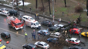 N-ai să crezi aşa ceva! Ce şoferi ghinionişti! Pe şoseaua Ştefan cel Mare din Capitală, a căzut un copac peste maşini!