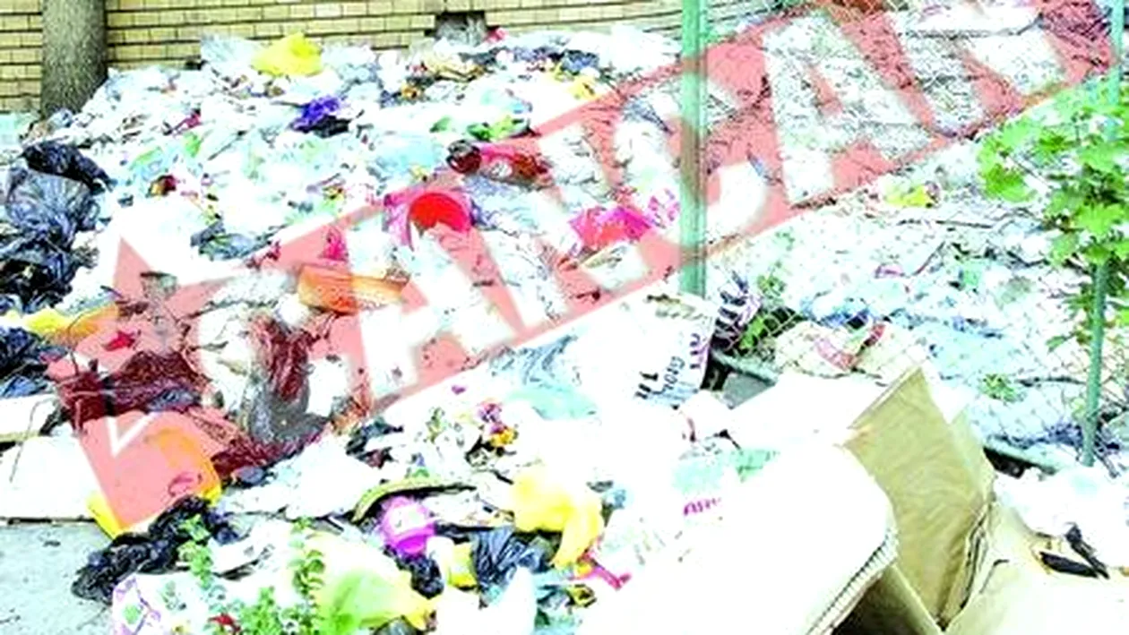 Sute de bucuresteni, chinuiti de un munte de gunoi