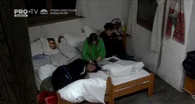 Galerie foto - poza 3