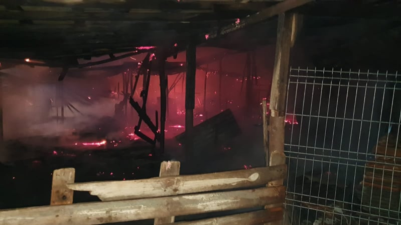 Incendiu puternic la un adăpost de animale din Dâmbovița! Îngrijitoarea intoxicată, zeci de animale moarte