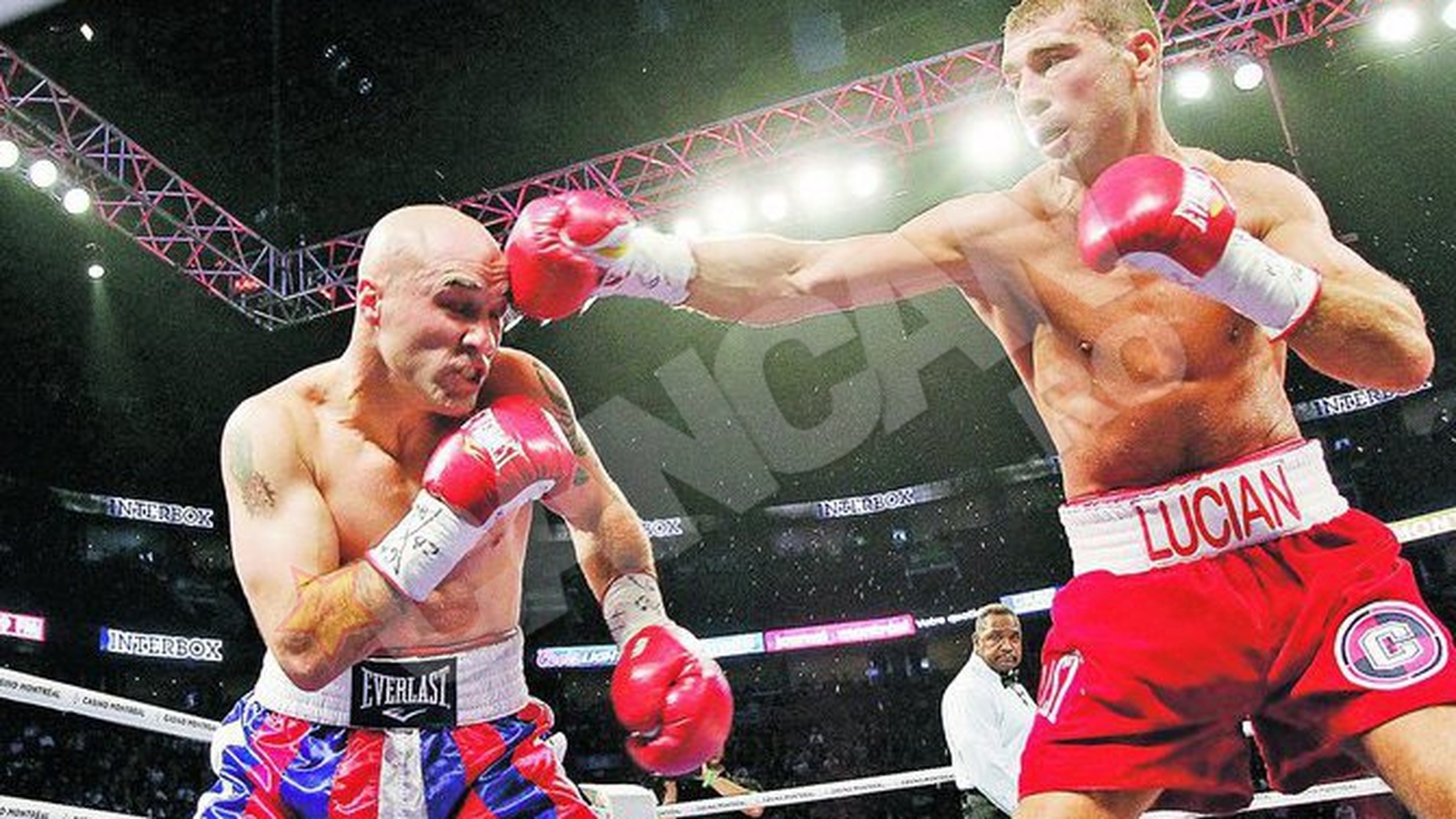 Lucian Bute: "In doua luni am pasaport canadian"