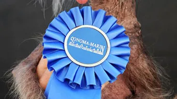 A murit cel mai urat catel din lume