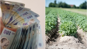 Vești importante pentru o categorie de români! Se oferă un ajutor de la stat de 1000 de lei. Care sunt condițiile