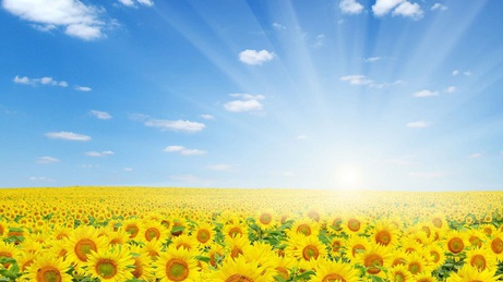 METEO 22 IULIE! Vremea se va menţine caniculară la orele amiezii, iar în unele zone va ploua