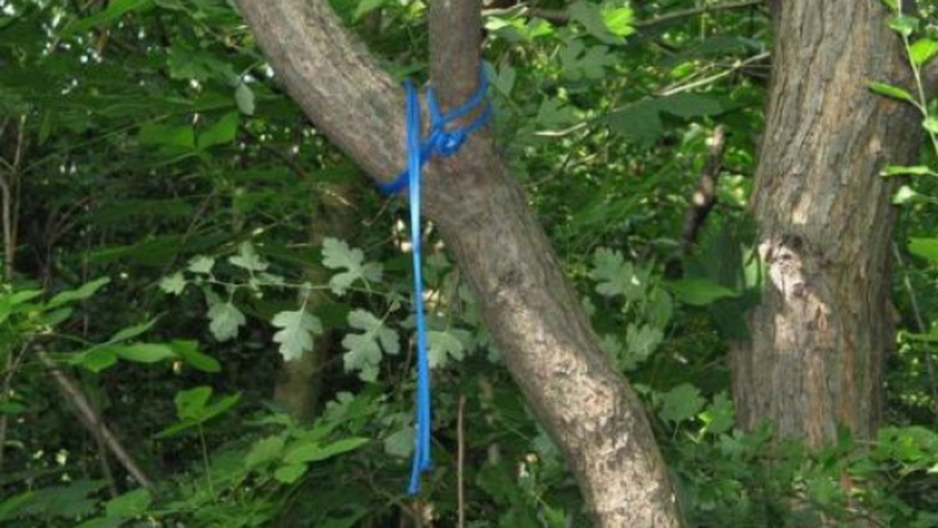 Caz oribil in Dâmboviţa! O fetiţă de patru ani a fost spânzurată de tatăl ei. Bărbatul a incercat să se sinucidă
