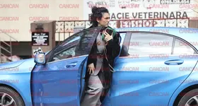 Galerie foto - poza 3