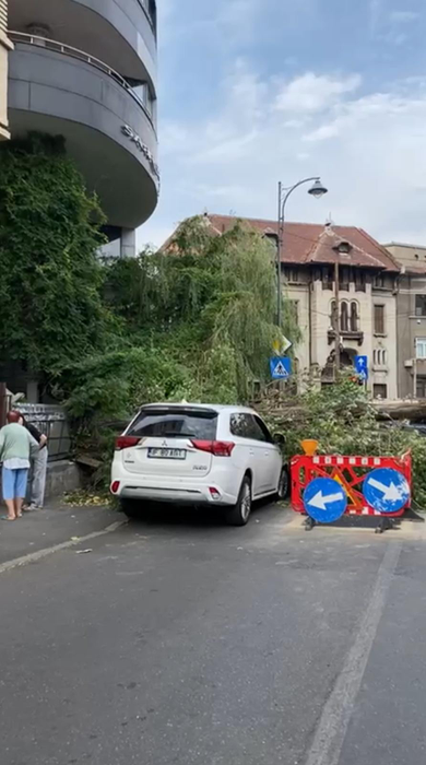 Furtuna a făcut prăpăd în București! Un copac a fost doborât în Sectorul 1 al Capitalei