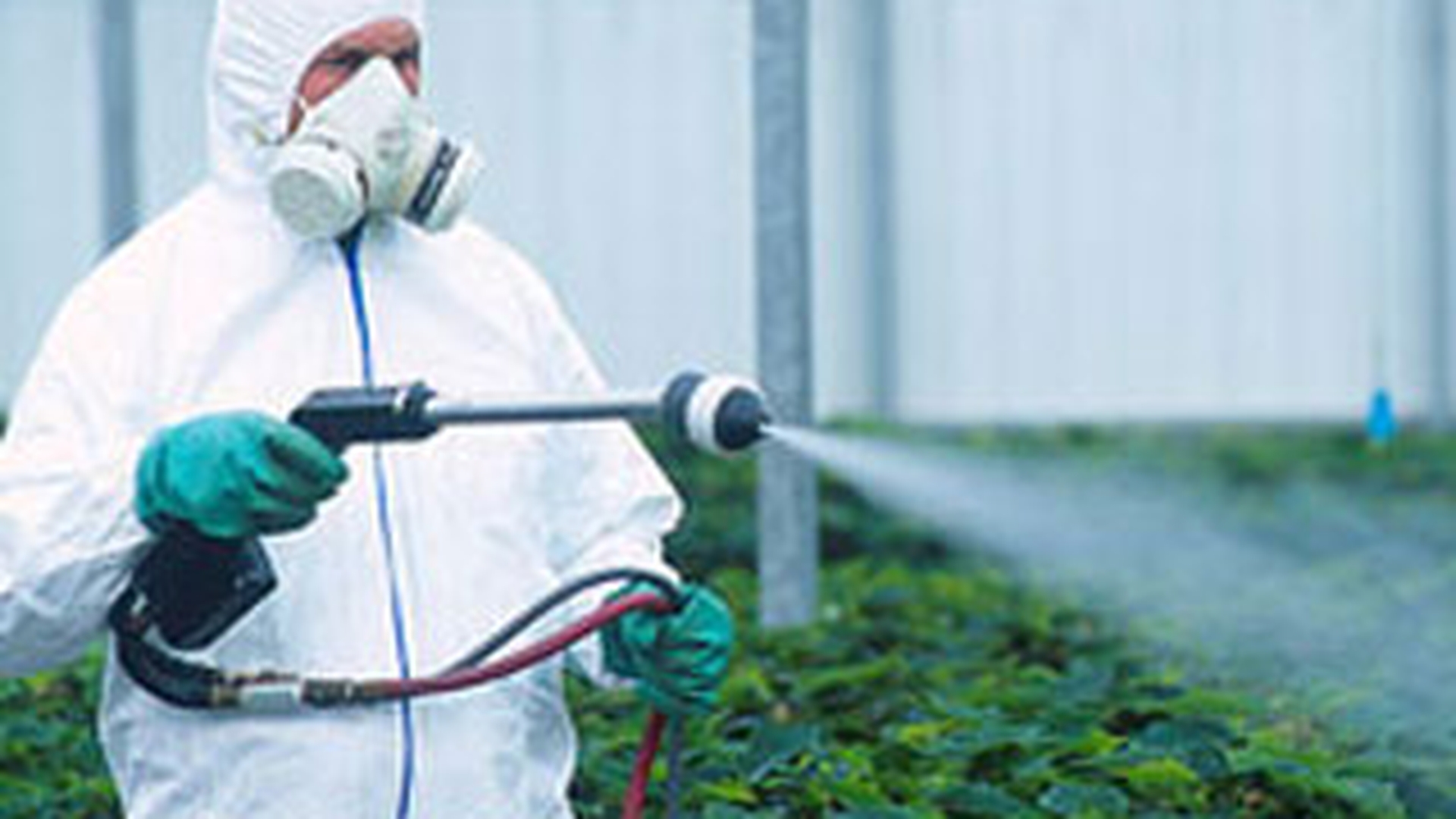 Atentie la ce legume cumperi! In Romania pesticidele se vand pe post de biocide