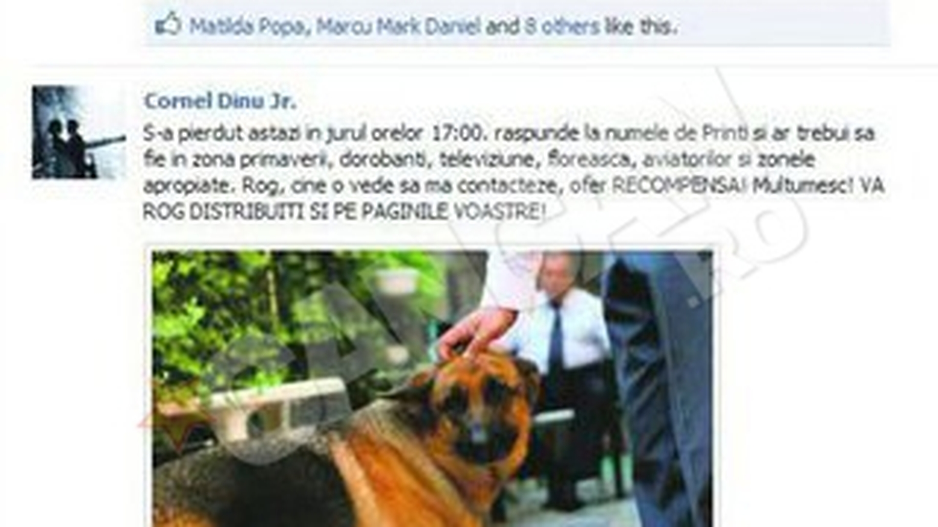 Dupa 11 ore de cautari Cornelus a gasit-o pe "Printi" cu ajutorul Facebook-ului