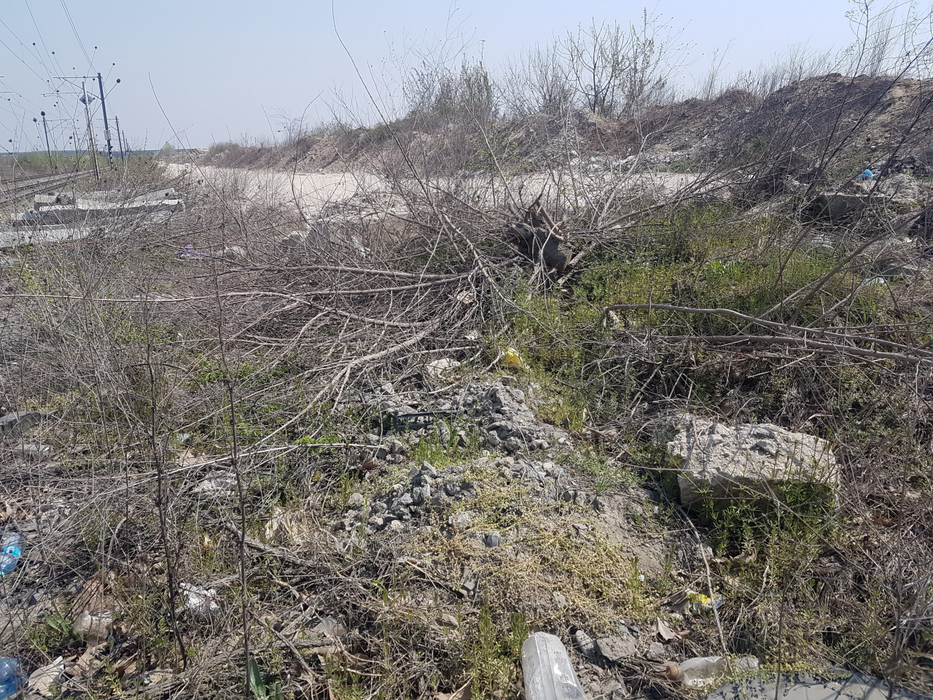 Monumentul funerar ridicat în memoria lui Nae Niculae a dispărut, din cauza unor lucrări în zonă