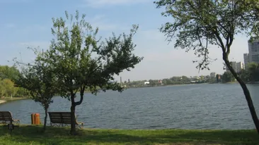Au iesit in parc să se relaxeze, dar ce au văzut plutind deasupra apei i-a socat! Ce s-a intâmplat azi, in lacul Colentina