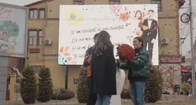 Galerie foto - poza 3