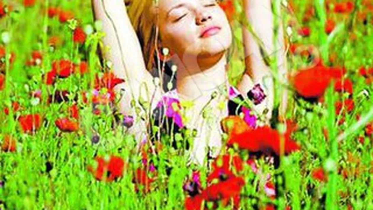 Sexy-penelista, pictorial in lanul de maci