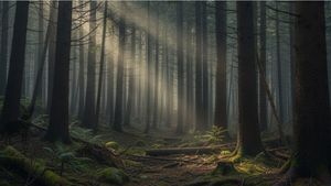 Test de perspicacitate | Găsiți lupul ascuns în pădure! Geniile reușesc în maximum 5 secunde