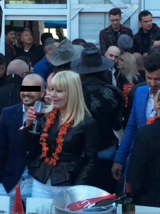 Elena Udrea, distracţie cu un strop de vin şi mişcări din şold