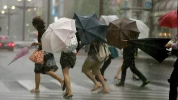 Vremea urata a facut ravagii prin tara! Neajlovul a iesit din matca si a inundat campurile din zona. Imaginile te vor infiora