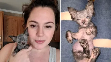 O femeie a crezut că pisicul ei este bolnav după ce blana a început să-i cadă, dar a aflat altceva de la medici