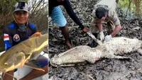 Șocant! Ireal ce au descoperit niște localnici în burta unui crocodil