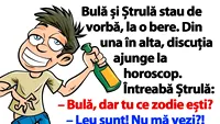 BANCUL ZILEI | Ce zodie este Bulă