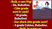 BANC | Bulă, e cam frig. Câte grade sunt în casă?