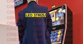 Galerie foto - poza 4