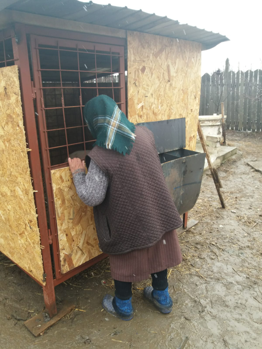 Ioana Pârvu și-a botezat porcul-santinelă Esmeralda