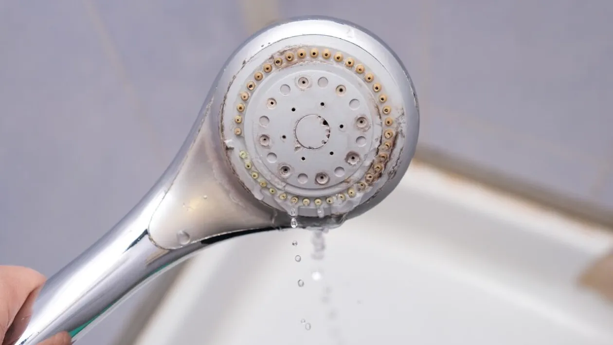 Cât de des ar trebui să cureți para de duș. Greșeala care poate reduce presiunea apei și favoriza acumularea bacteriilor