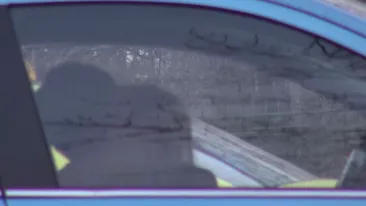 Alina Crisan, comportament de adolescenta! A iesit singura in club si a agatat un barbat cu care s-a sarutat in masina!