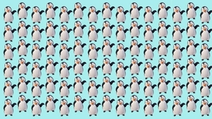 Test de logică | Găsiți singurul pinguin care nu seamănă cu ceilalți!
