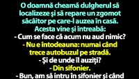 BANC | O doamnă cheamă dulgherul să localizeze şi să repare un zgomot sâcâitor pe care-l auzea în casă