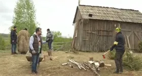 Galerie foto - poza 2