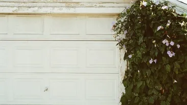 Bunicul lor nu-i lăsa niciodată să intre în garaj. După moartea bătrânului, nepoţii au aflat că acesta le-a lăsat moştenire chiar „locul interzis”. Când au deschis uşa, au rămas fără cuvinte