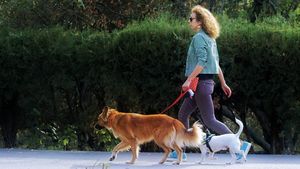 Ce a pățit Diorica, o româncă aflată în vizită la fiul ei din Italia. Ce s-a întâmplat, în timp ce băiatul era plecat de acasă