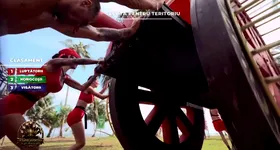 Galerie foto - poza 4