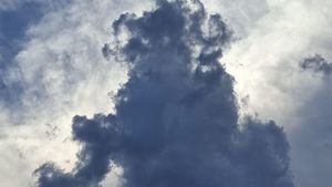 Prognoza meteo azi, 14 februarie 2026. Primăvară timidă în sud și sud-est, cu cer schimbător