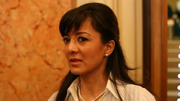 Oana Niculescu Mizil, condamnata la 3 ani de închisoare cu suspendare