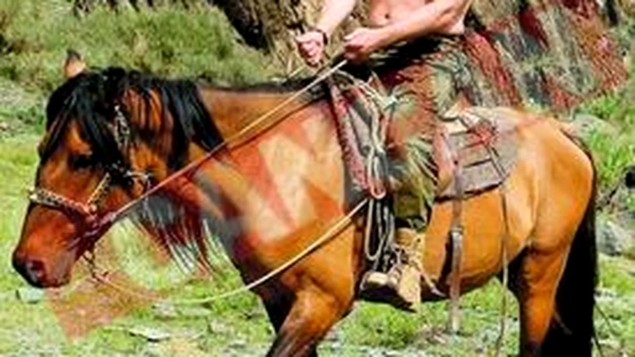 Vladimir Putin, calaretul macho