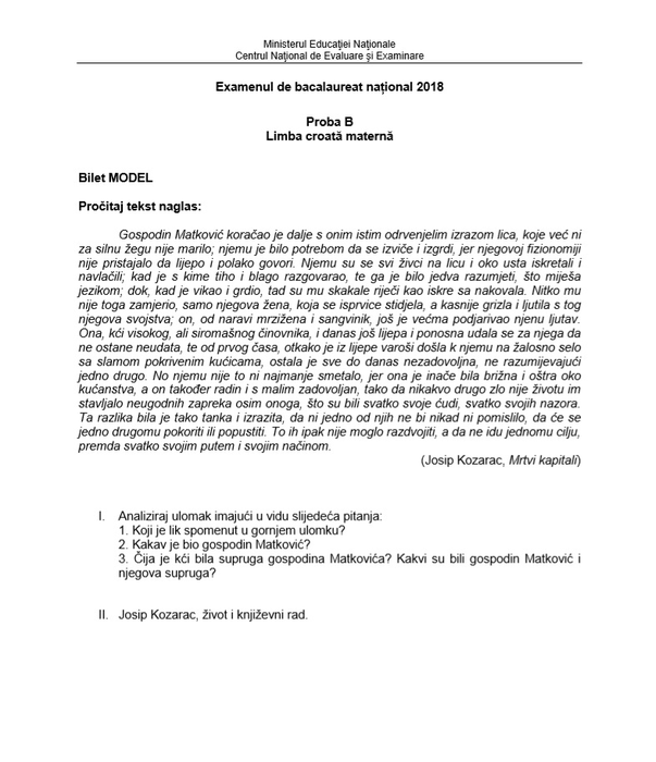 Bacalaureat 2019. Cum se rezolvă subiectele la limba și literatura maternă oral