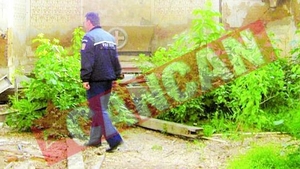 Au profanat 100 de morminte intr-o singura noapte