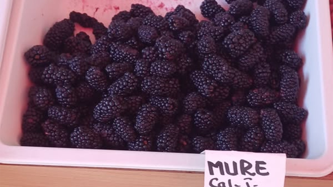 Mure, la preț de caviar! Cât costă 1 kilogram + reacția Asociației pentru Protecția Consumatorilor din România