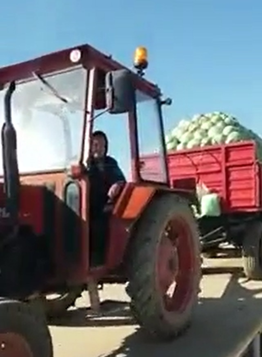 Tanti Miţa pe tractor
