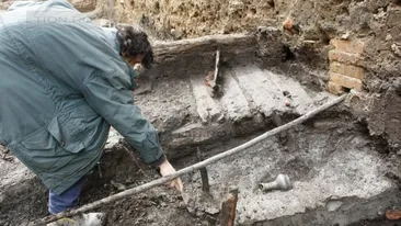 O bucureșteancă a găsit o creatură ciudată pe o alee și a publicat imaginea cu ea pe Facebook. Prietenii ei s-au șocat! ”Du-te de urgență la... ”