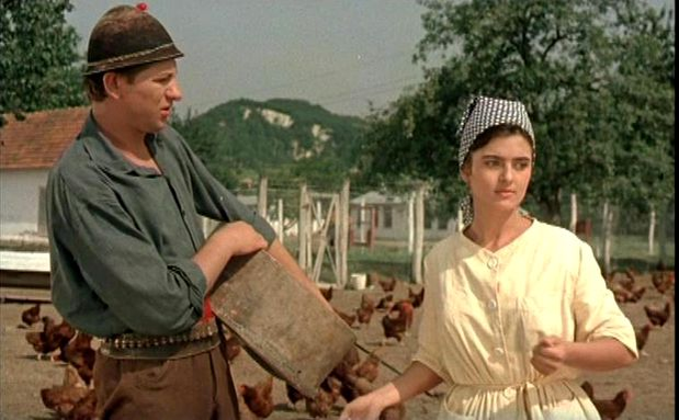 Doliu uriaș în România! Îndrăgita actriță a murit. „Cele 9 pisicuțe pe care le-a salvat de pe străzi au rămas pe drumuri”