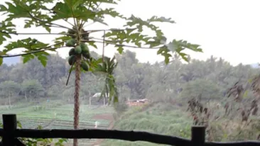 Delia Matache are parte de clipe de vis in vacanta! Vezi in ce casa s-a cazat si la ce meci de fotbal a asistat!