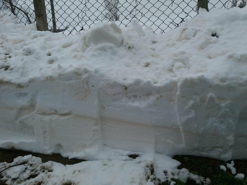 Fenomen neobişnuit în România: zăpadă portocalie! În ce zone din țară a apărut, dar și care sunt explicațiile specialiștilor