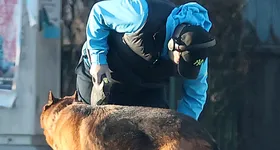 Galerie foto - poza 3