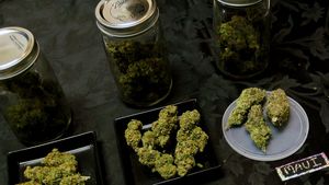 Captura record! Politia a confiscate sapte tone de cannabis