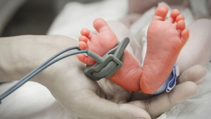 Scandal cu E-coli în Italia. Bebeluş român, internat cu sindrom hemolitic uremic. E implicată brânza de la Brădet! 