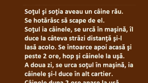BANCUL ZILEI | Soțul, nevasta și câinele rău