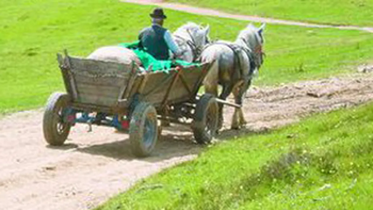 A omorat in bataie un batran si a pretins ca a vrut sa-l salveze